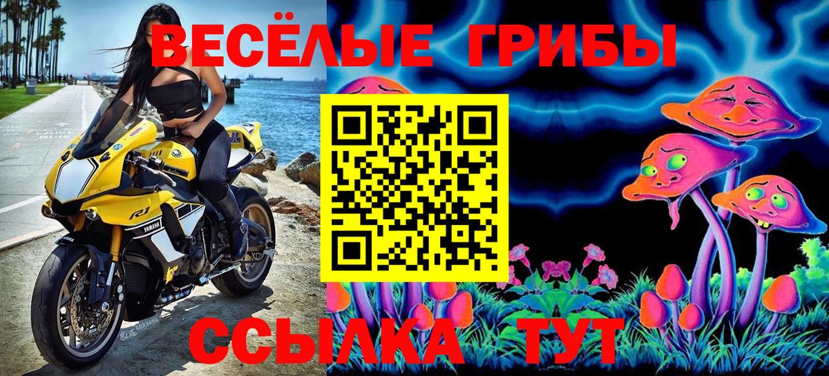 Псилоцибиновые грибы мицелий  Галлюциногенные грибы Psilocybe  Лесной  Вход с VPN 
