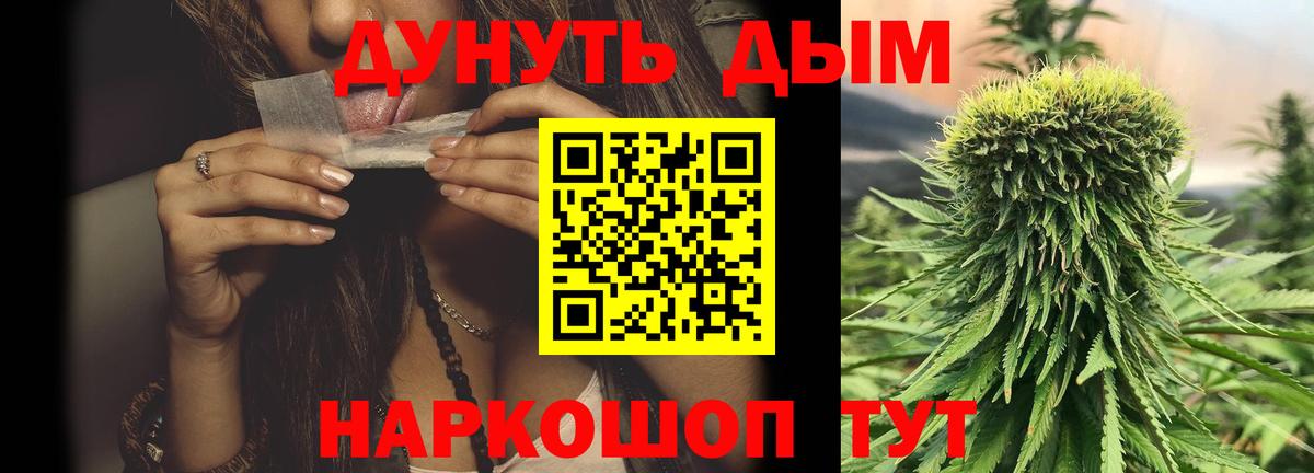 Канабис сатива Лесной